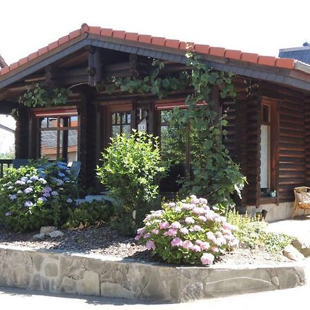 Ferienwohnung Blockhaus Juka Vinningen Экстерьер фото